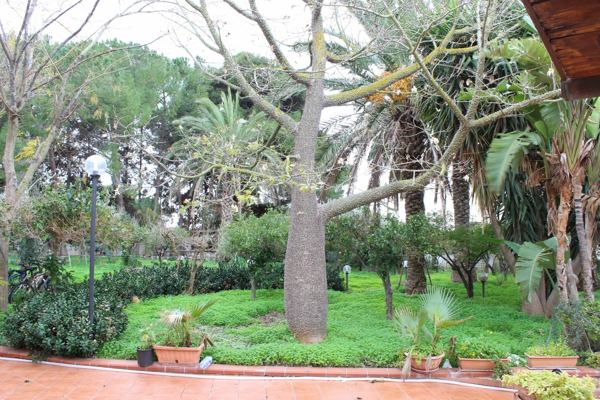 Villa Delle Nifee Mazara del Vallo Exterior foto